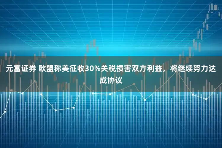 元富证券 欧盟称美征收30%关税损害双方利益，将继续努力达成协议